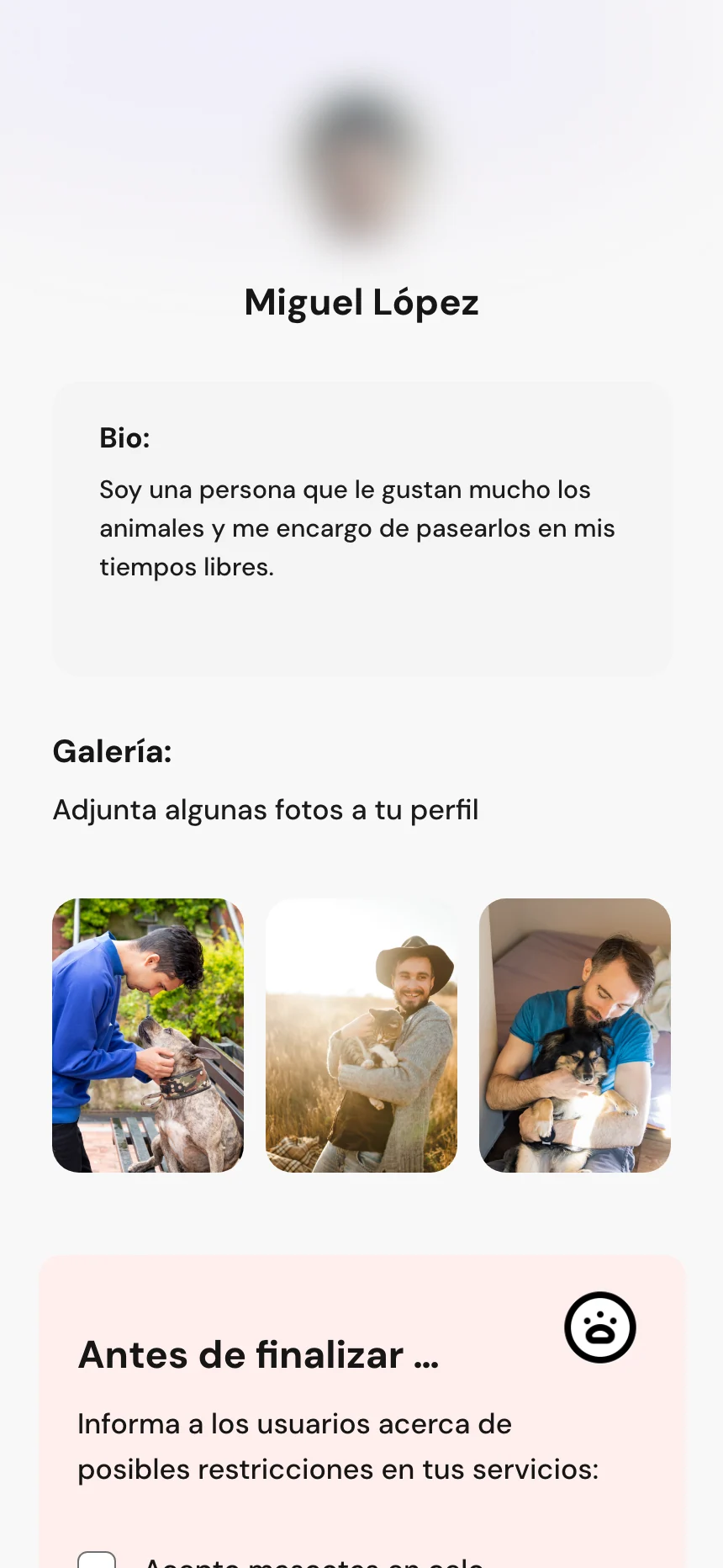 pantalla2-piwer