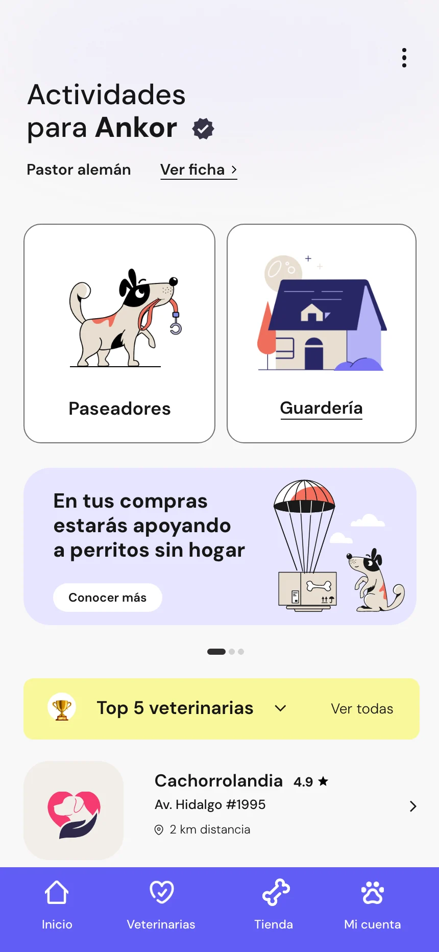pantalla4-piwi
